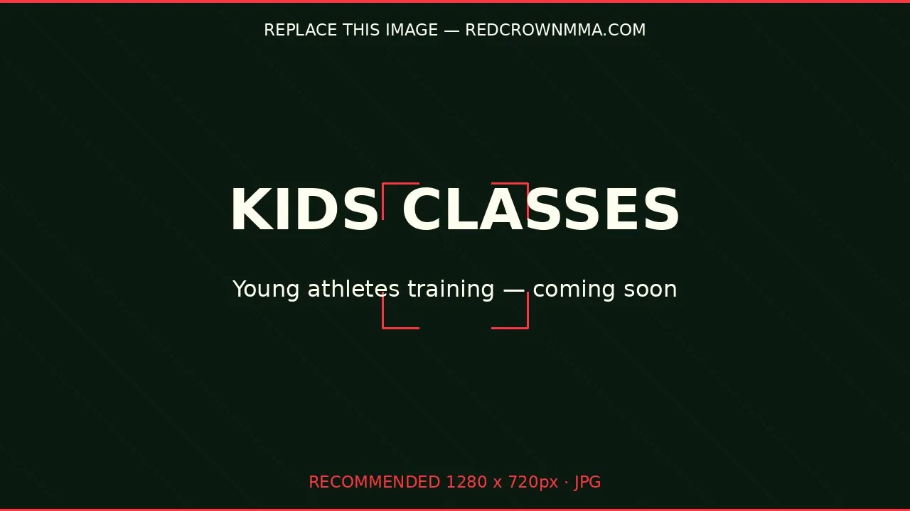 Kids martial arts classes at Redcrown, coming soon